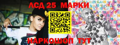 стафф Гай