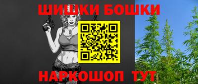 стафф Гай