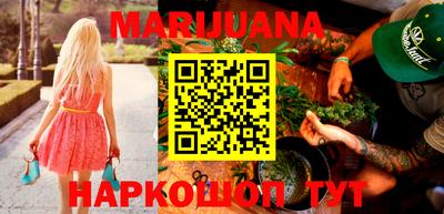 стафф Гай