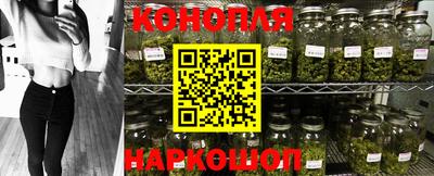прущие крисы Гусев