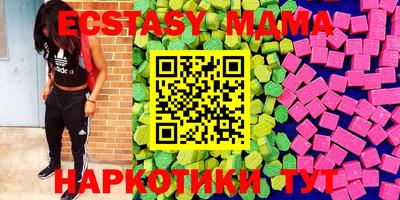 стафф Гай